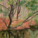 Beaver Brook,  Oil on canvas, 24 x 30