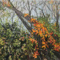 Autumn Treasure,  oil on canvas,  15 x 30